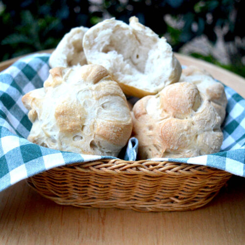 Panini rosette Bimby