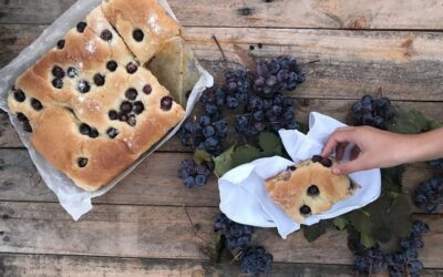 Schiacciata all’uva Bimby (ciaccia)