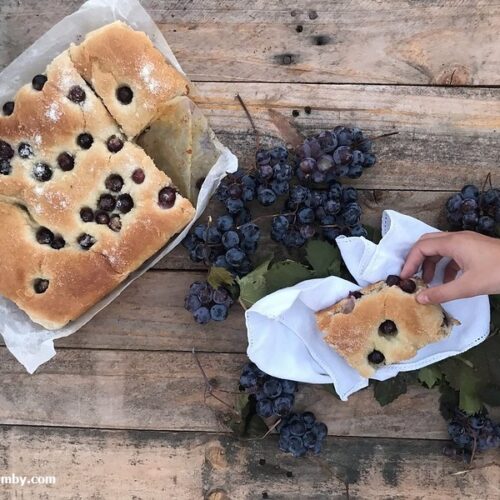 Schiacciata all uva Bimby