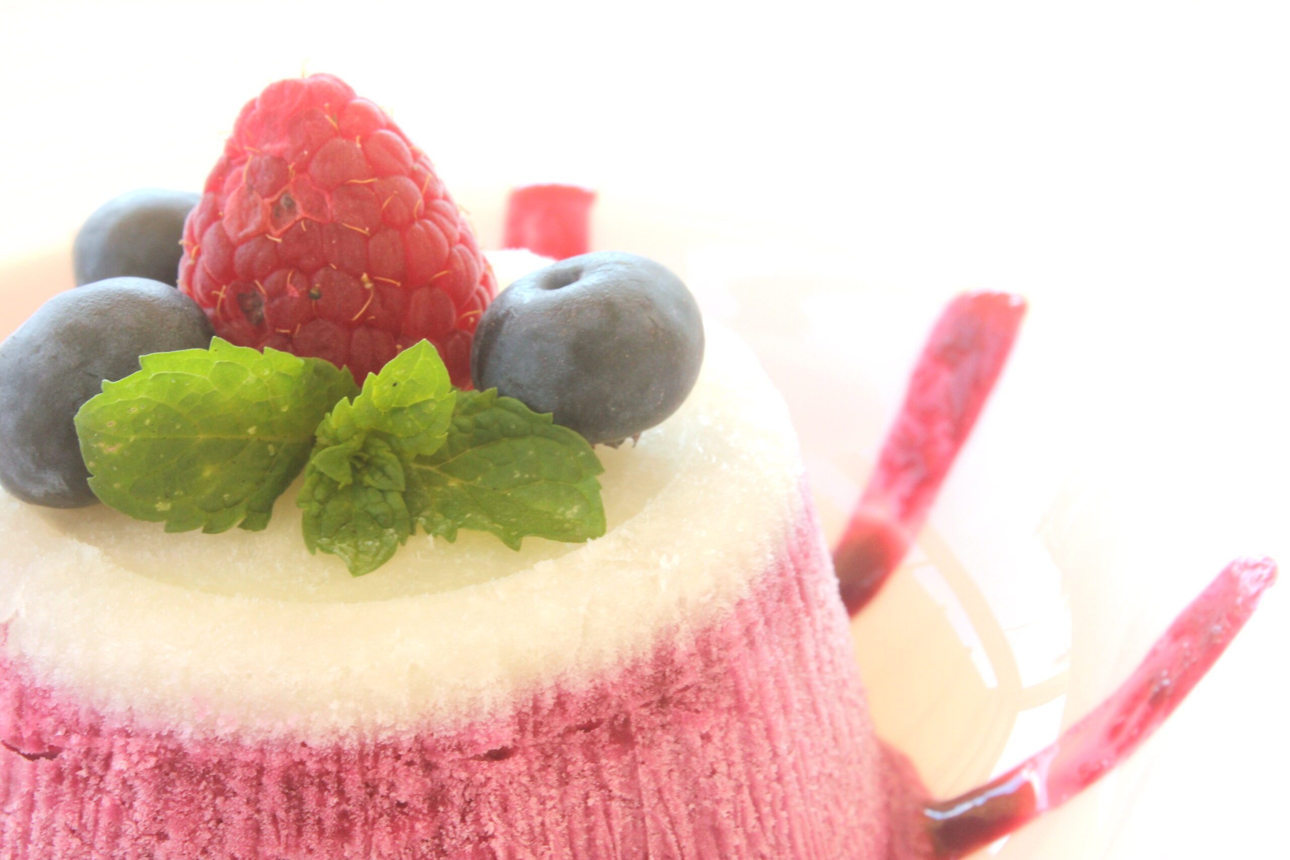 Semifreddo ai frutti di bosco Bimby