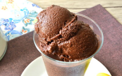 Sorbetto al cacao