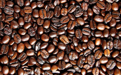 Sorbetto al caffè