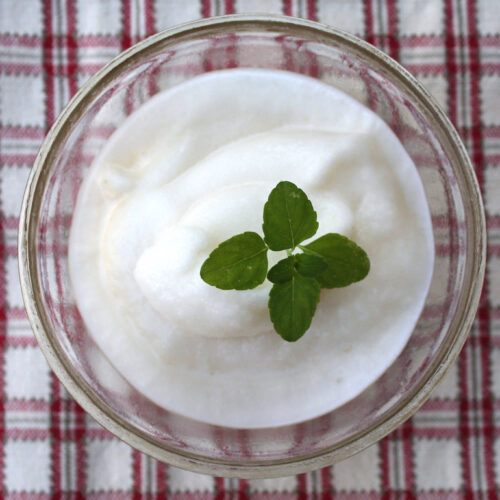 Sorbetto birra e menta Bimby