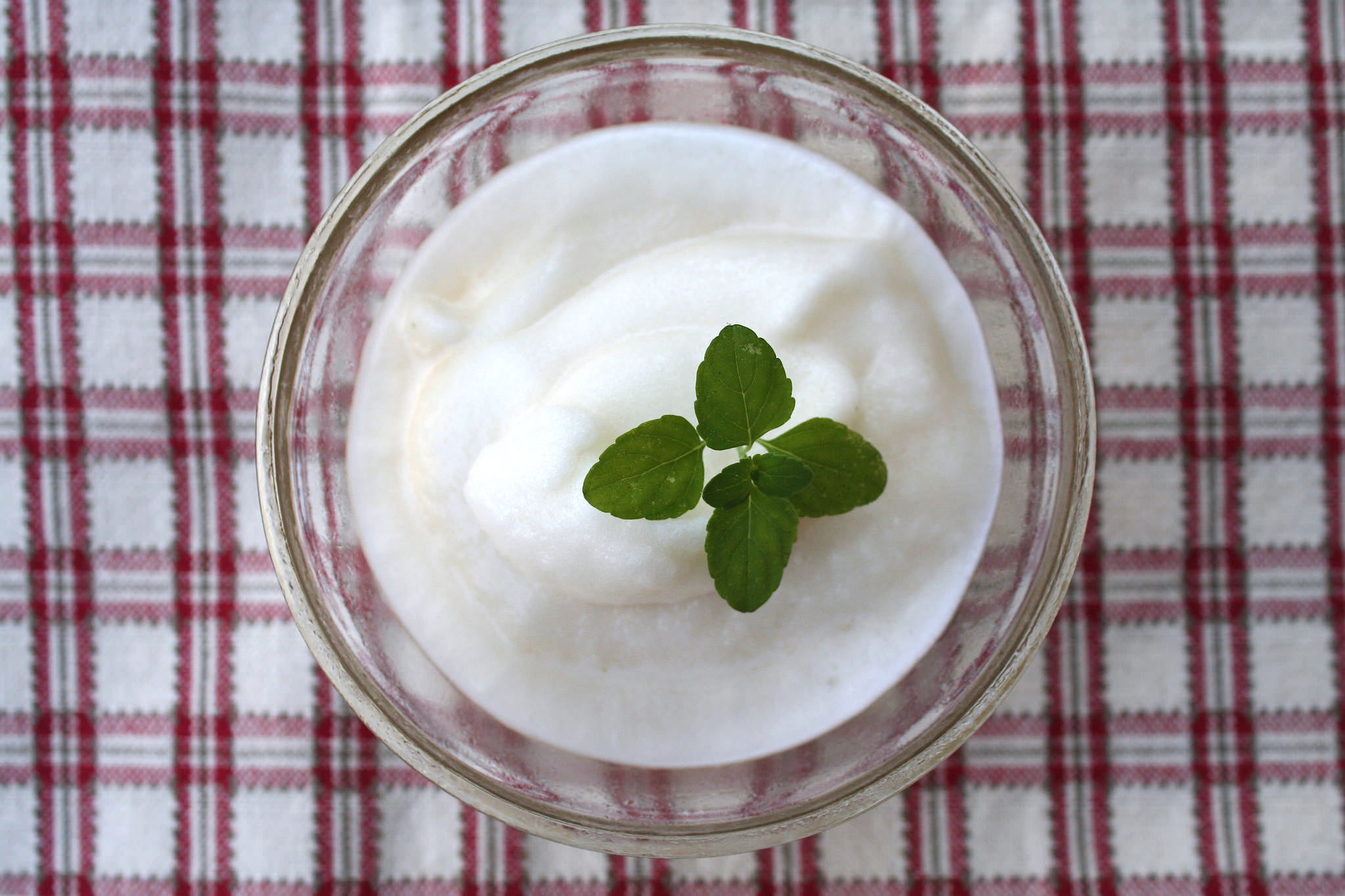 Sorbetto birra e menta Bimby