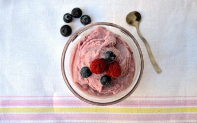 Sorbetto ai frutti di bosco