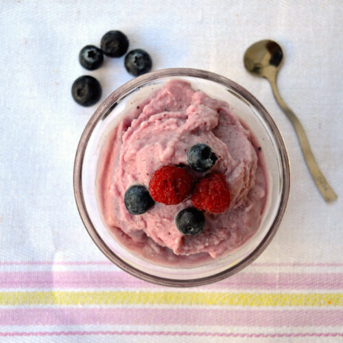 Sorbetto ai frutti di bosco Bimby