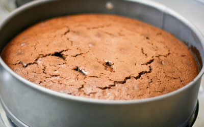 Torta con un uovo al cioccolato