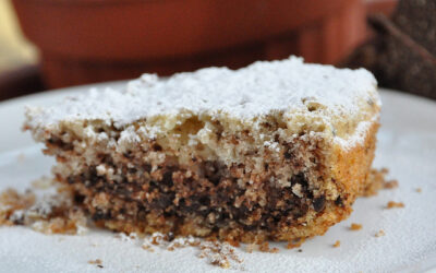 Torta ricotta e cioccolato