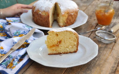 Torta allo yogurt e marmellata