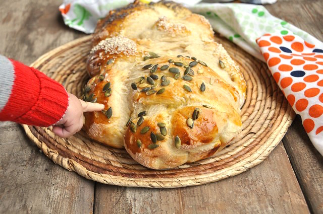 Treccia con kefir Bimby