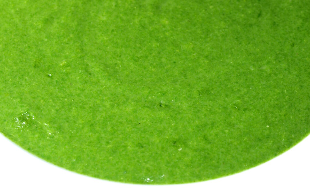 Vellutata di bietole