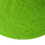 Vellutata di bietole Bimby