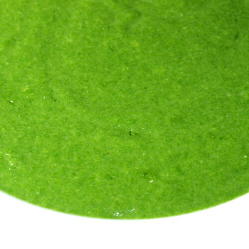 Vellutata di bietole Bimby