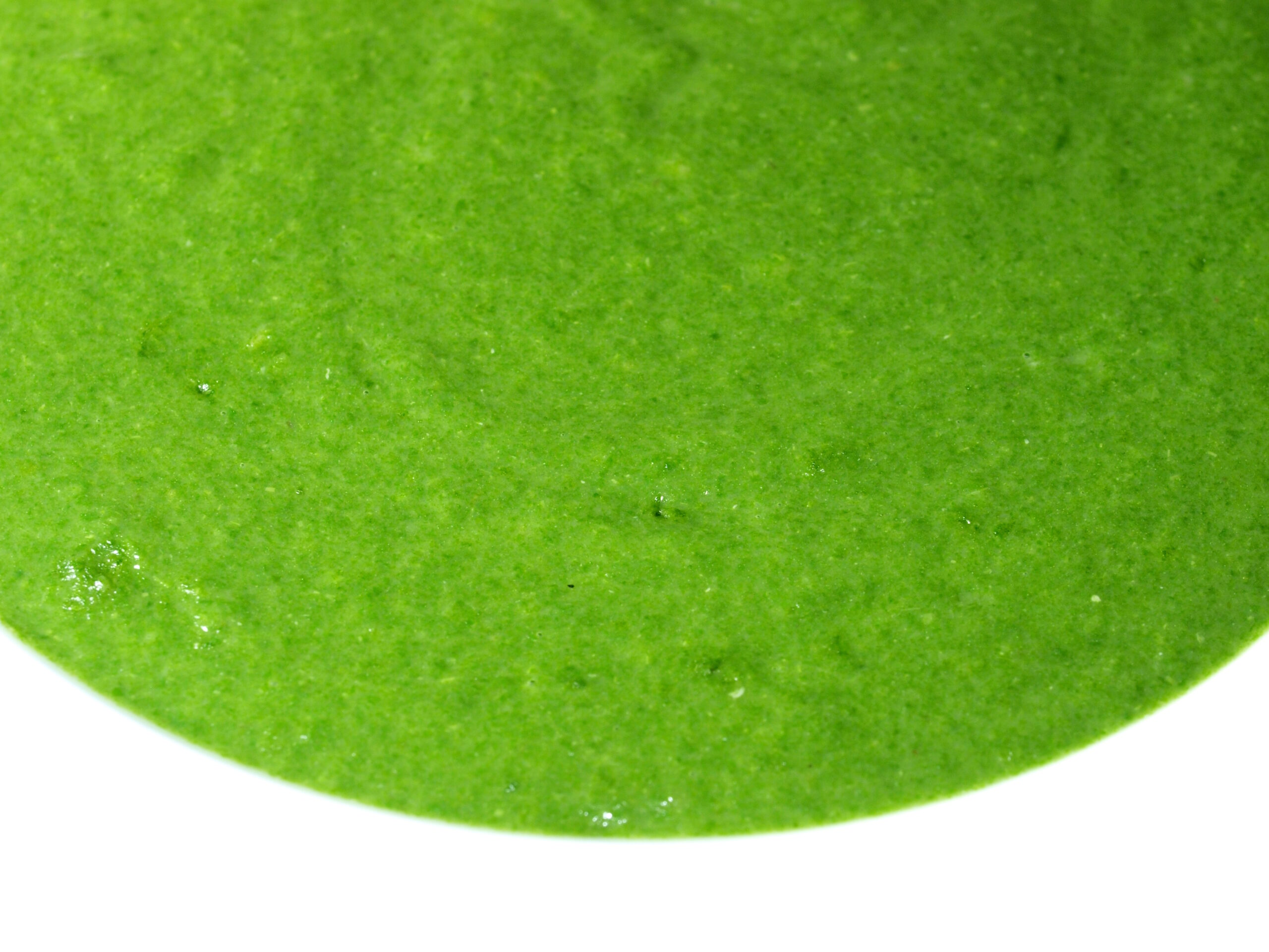 Vellutata di bietole Bimby