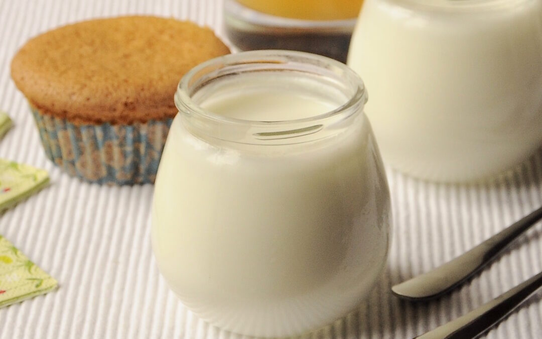 Yogurt fatto in casa