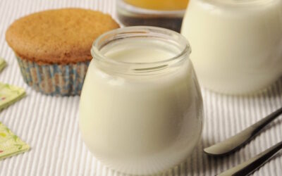 Yogurt fatto in casa