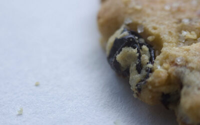 Biscotti zaleti