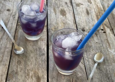 Cocktail Spaziale