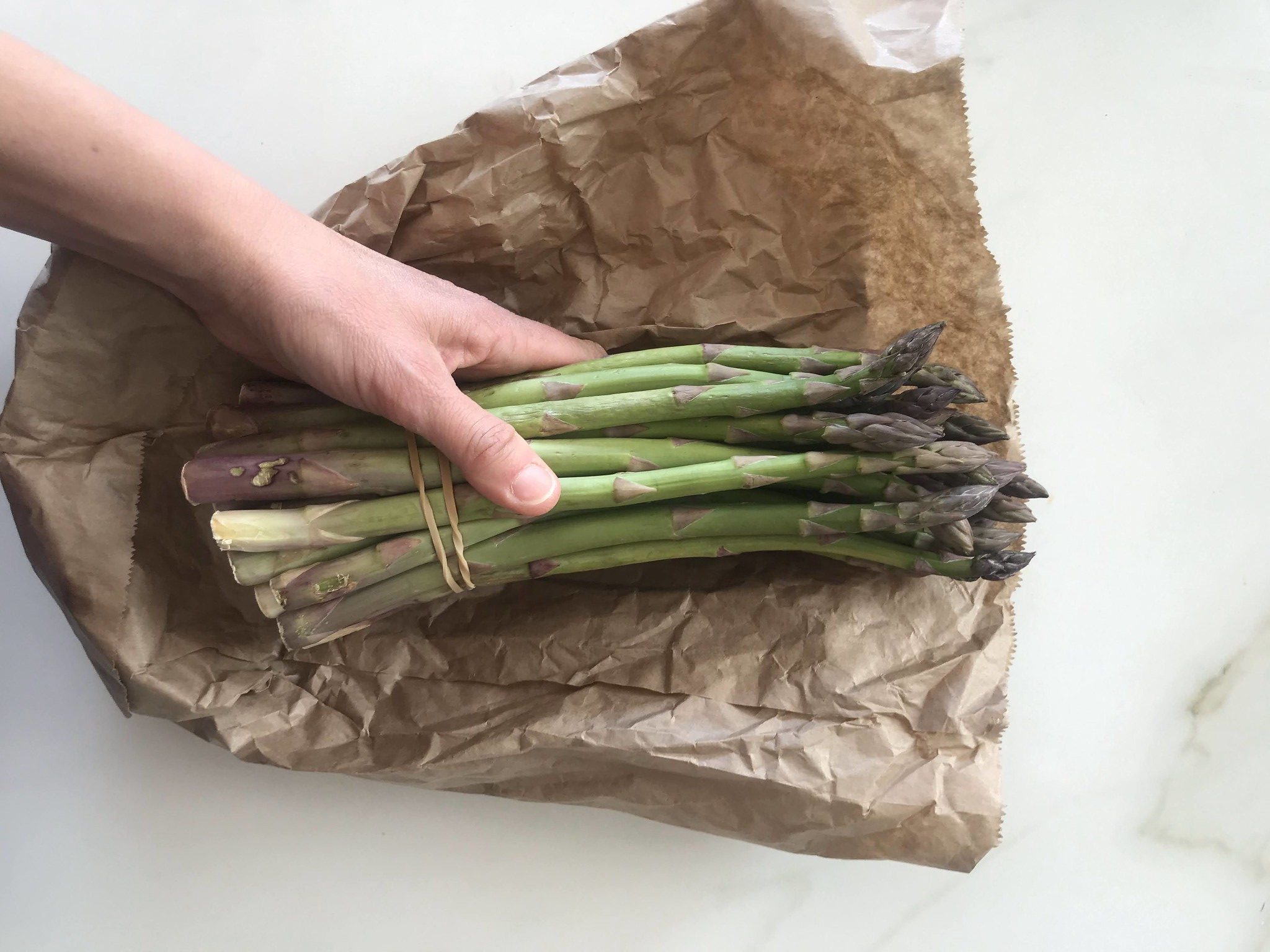 ricette con asparagi bimby ricette con asparagi bimby