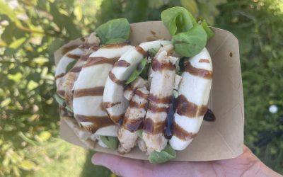 Bao Buns